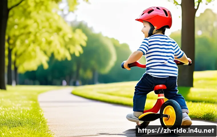 승용완구 신체 발달 도움 - **A Joyful Toddler on a Balance Bike in a Sunny Park**
    Generate a photorealistic image of a happ...